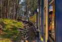 094 Ooty Toy Train